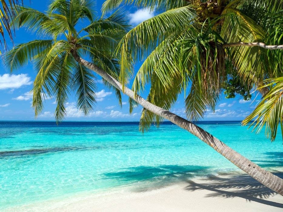 Счастливая семья на отдыхе у моря