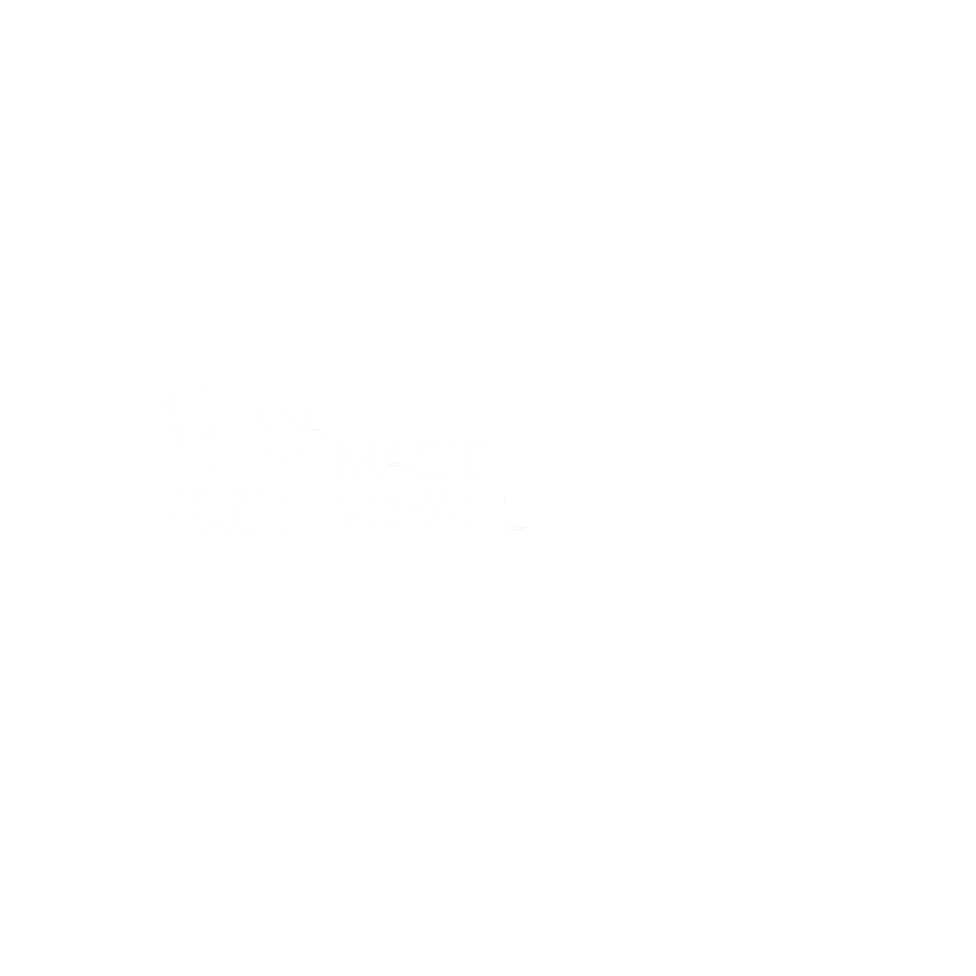 MAGIC VOYAGE